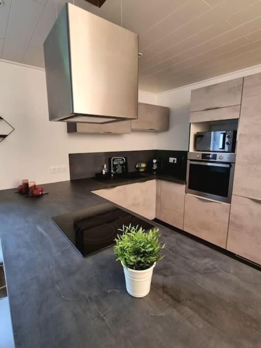 Appartement Chaleureux 80M2 Orbey Bagian luar foto